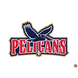 Autocollant logo nba New_Orlean_Pelikan.8_3 - Sticker