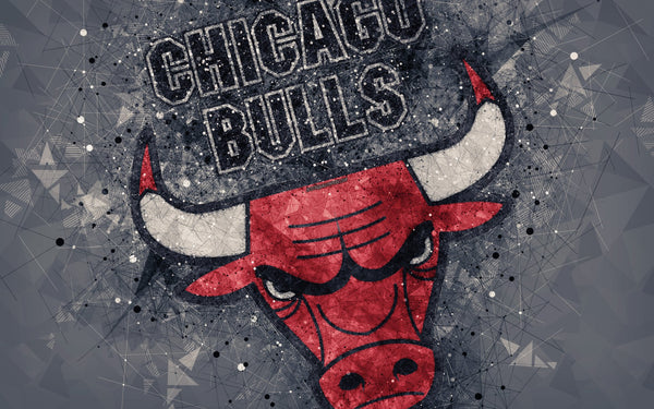 logo
                                
                                    basketball
                                
                                    NBA
                                
                                    Chicago Bulls